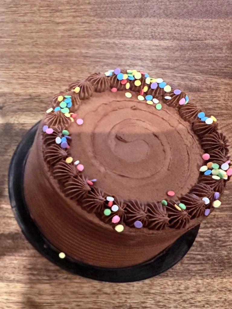 Chocolate frosted cake with a piped chocolate border and rainbow sprinkles