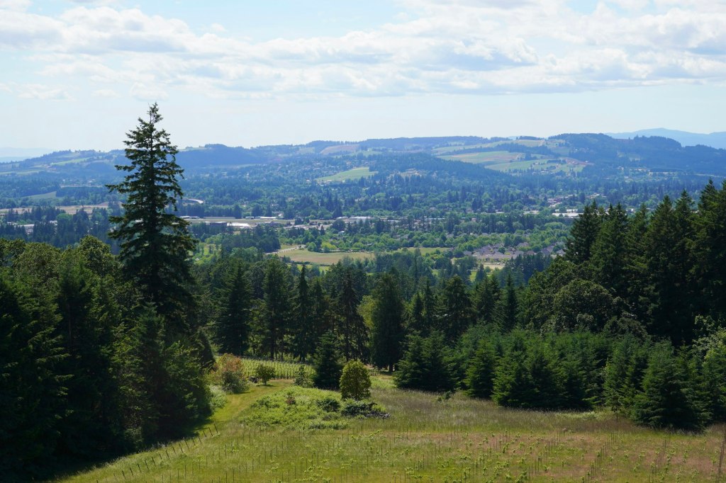 Vineyards and farmland rolling across Oregon's Willamette Valley, near Newberg